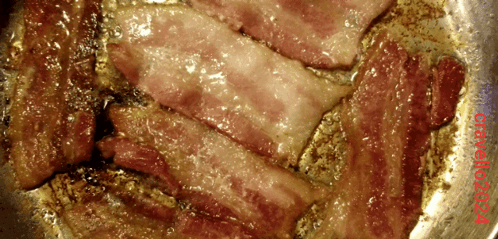 Bacon In Frying Pan With Red Border Saying Cucina GIF