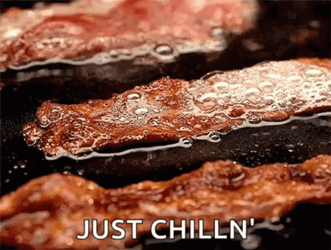 Bacon Just Chillin GIF