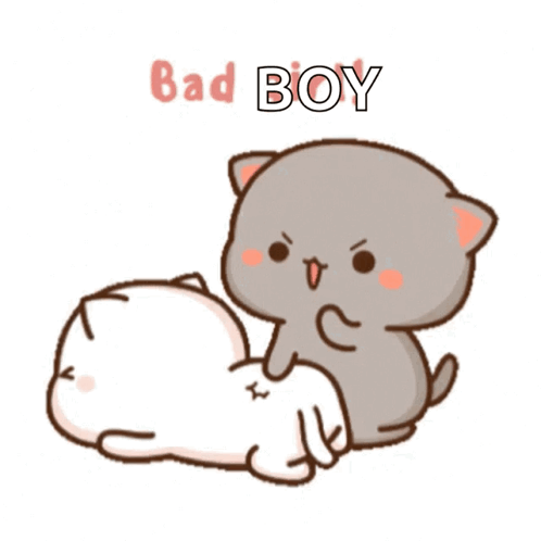 Bad Boy Peach And Goma Mochi Cat GIF