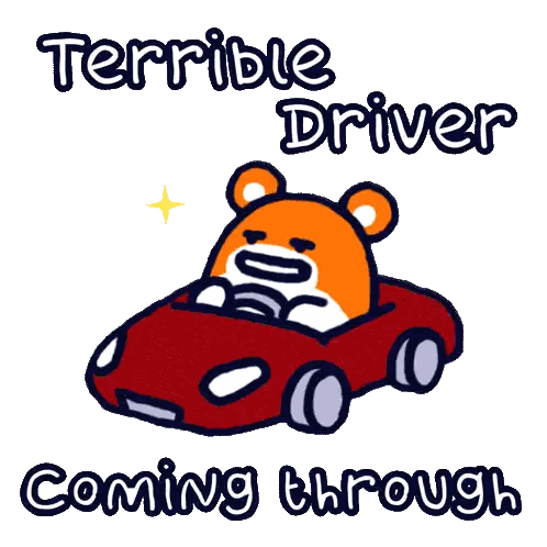 Bad Driver with Bear in Car