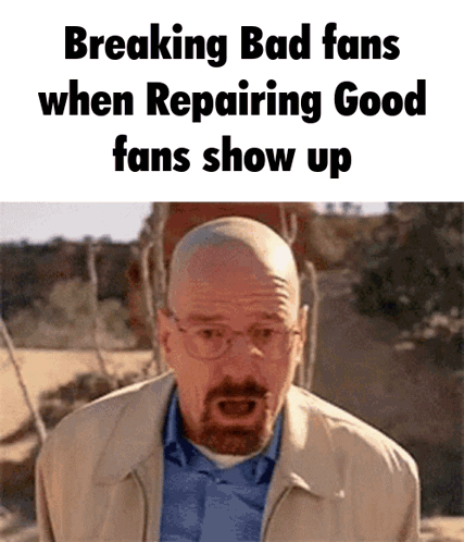 Bad Fans Breakin Good One GIF