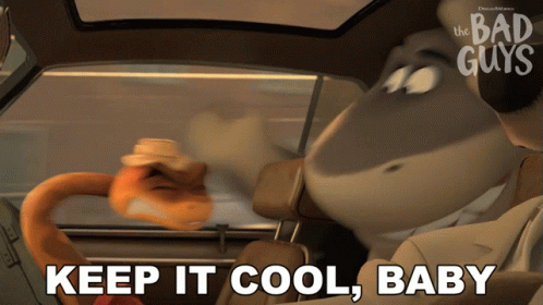 Bad Guys In The Car Stay Cool Baby GIF