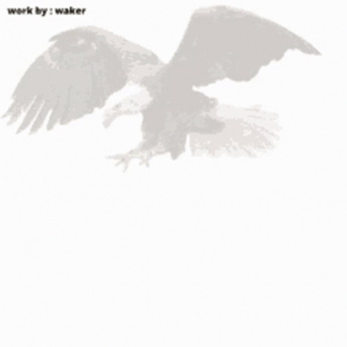 Bad News Eagle Appearing Graphics Art GIF
