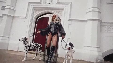 Baddie Girl Ivorian Doll GIF