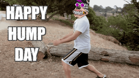 Baddogs Happy Hump Day Meme GIF