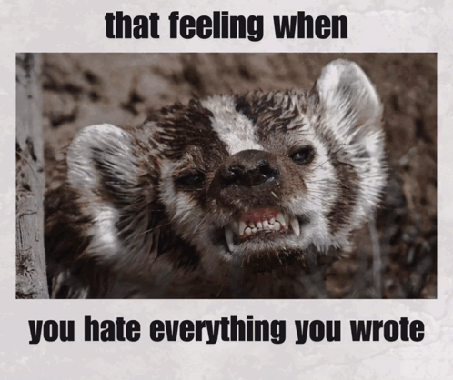 Badger That Feeling When You Hate Everything You Wrote