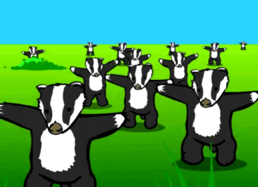 Badgers Standing on a Poster