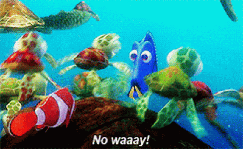 Baffled Dory GIF
