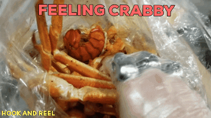 Bag of Food Feeling Crabby Hook and Reel
