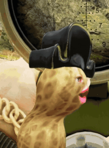 Bag Of Jumbo Peanut Flips Surrounded By Flowers GIF