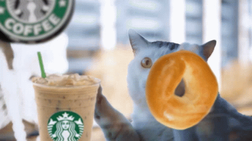 Bagel Paired With Starbucks Coffee GIF