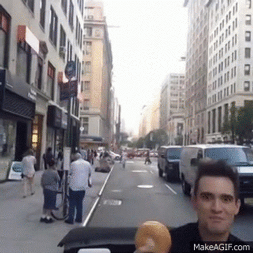 Bagel GIF