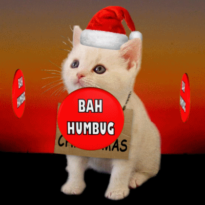 Bah Humbug Cute Cat In Santa Hat GIF