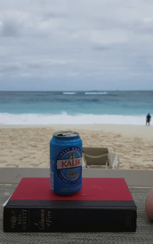 Bahamas Beach View GIF