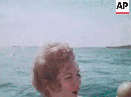 Bahamas Scuba Diving GIF
