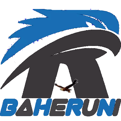 Baheruni Bird Logo