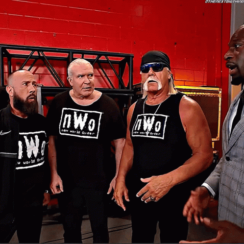 Bailey Interrupts Razor Ramon And Nwo GIF