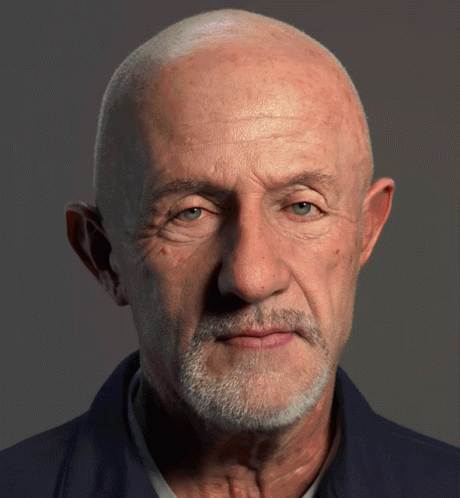 Bald Bearded Man Facing Camera