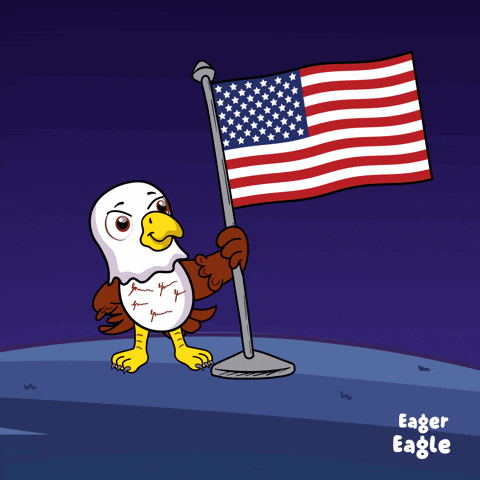 Bald Eagle American Flag Red White & Boom GIF