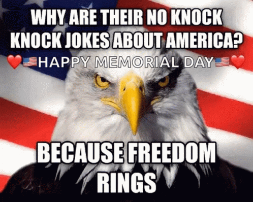 Bald Eagle American Flag Why No Knock Knock Jokes