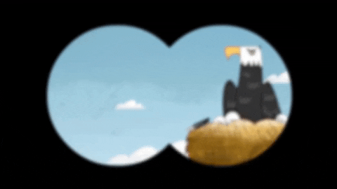 Bald Eagle Binocular GIF