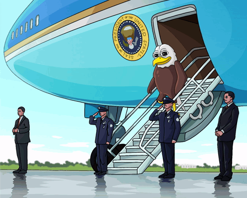 Bald Eagle Boarding United States Air Force One
