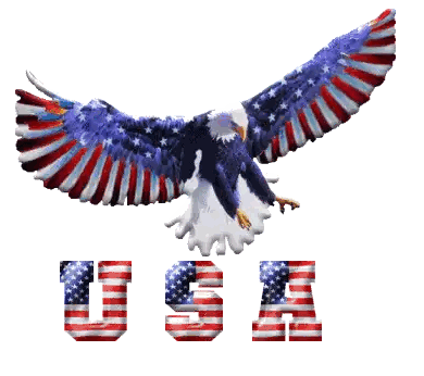 Bald Eagle Flying Above USA
