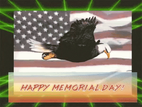 Bald Eagle Flying American Flag Happy Memorial Day