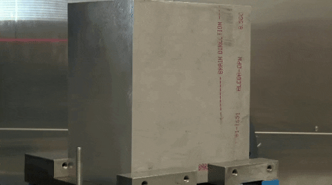 Bald Eagle Head Statue GIF