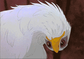 Bald Eagle Head Tilting GIF