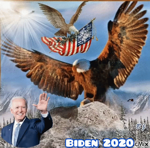 Bald Eagle Holding American Flag 2020 GIF