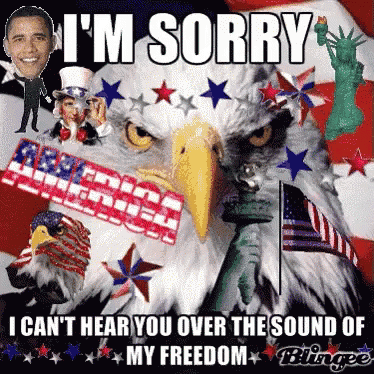 Bald Eagle I'm Sorry I Can't Hear You Over The Sound Of My Freedom GIF