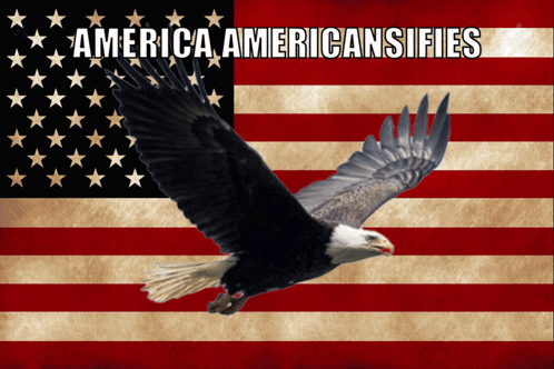 Bald Eagle In Flight With American Flag And America Americansifies GIF