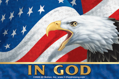 Bald Eagle In Front Of American Flag GIF
