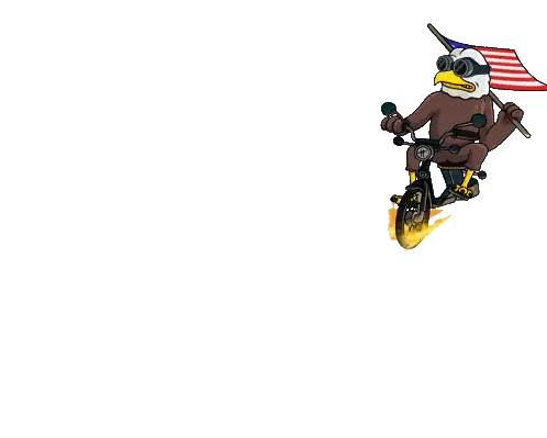 Bald Eagle Riding Motorcycle with Flag