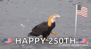 Bald Eagle Saying Happy 250th