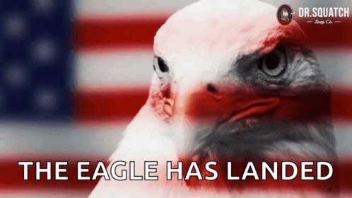 Bald Eagle Saying The Eagle Has Landed