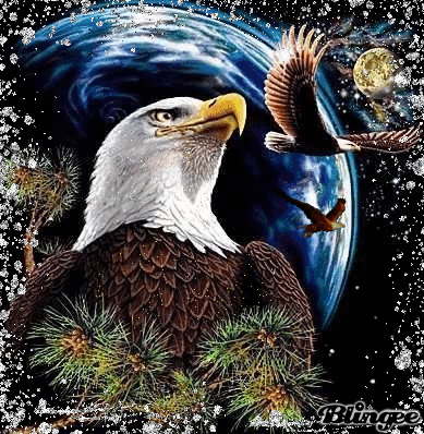 Bald Eagle Sitting on Tree Branch