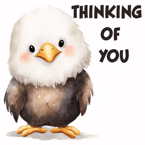 Bald Eagle Thinking of You