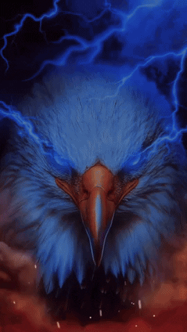 Bald Eagle with Lightning and R Beak