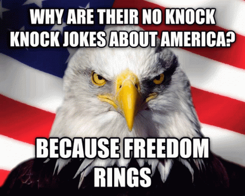 Bald Eagle With Why Are There No Knock Knock Jokes About America Because Freedom Rings GIF