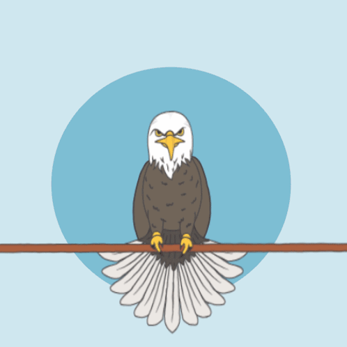 Bald Eagle With Wings Outstretched Memorial
