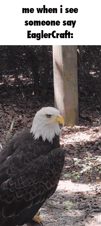 Bald Eagle with Yellow Beak Standing Near Tree