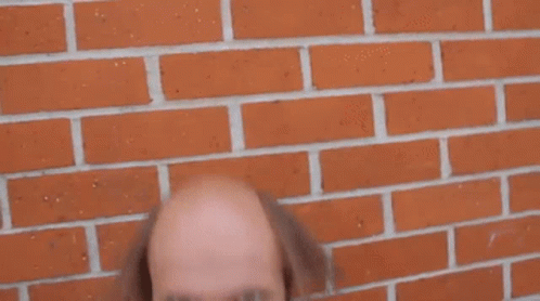 Bald Man Eating French Fries Against Brick Wall