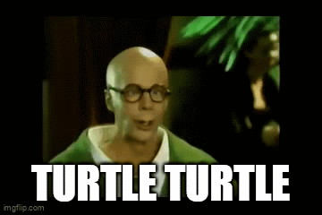 Bald Man Glasses Green Shirt Saying Turtle Turtle GIF