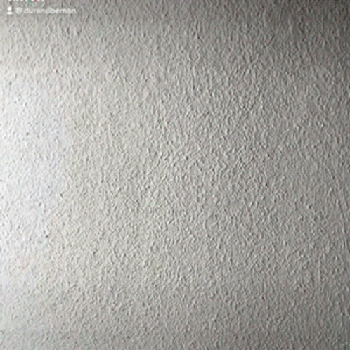 Bald Man Head Among Us GIF