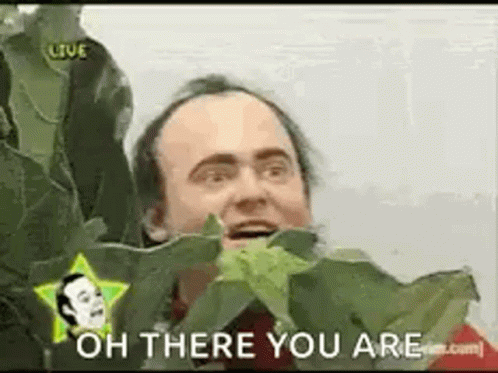 Bald Man Holding Leaf in Mouth