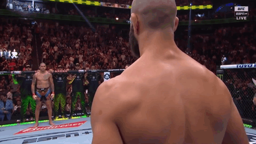 Bald Man in Front of Budweiser Banner