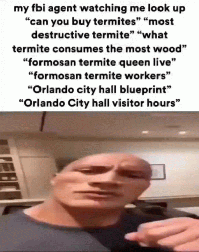 Bald Man Pointing and Talking About Termites