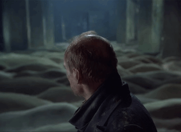 Bald Man Standing in Grass Field